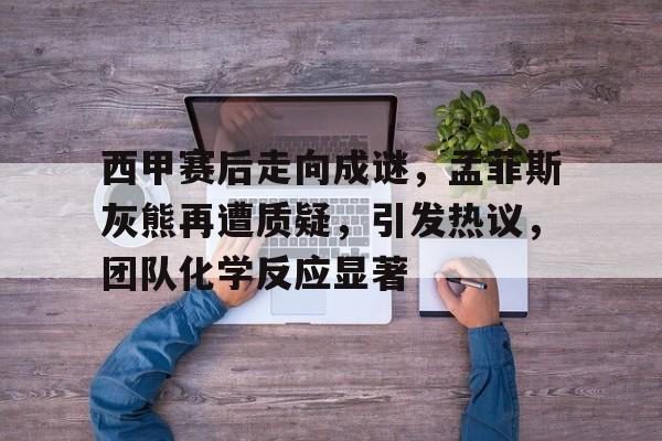 西甲赛后走向成谜，孟菲斯灰熊再遭质疑，引发热议，团队化学反应显著的简单介绍-kaiyun